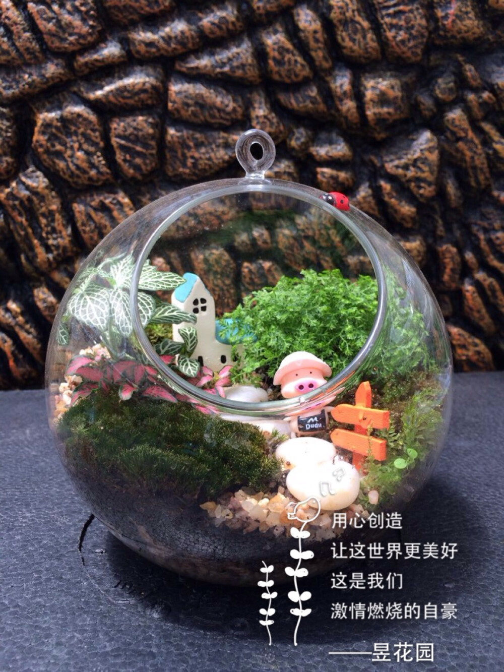 昱花园 苔藓微景观生态瓶成品 北京鲜花速递包邮 盆景创意礼品 http://tb.cn/b0O1kYy