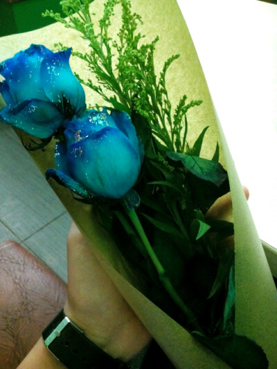 【2014.6.28】至少还有双温柔手可以捧得住玫瑰。考后送出的第一束，祝今夏愉快。