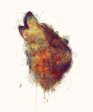 来自加拿大艺术家Amy Hamilton的一组关于动物的手绘插画，这是一位非常有才华的艺术家，它的作品充满着梦幻般的神秘以及治愈系的色彩。