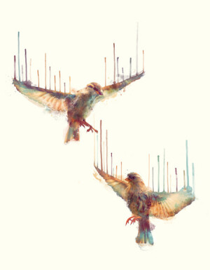 来自加拿大艺术家Amy Hamilton的一组关于动物的手绘插画，这是一位非常有才华的艺术家，它的作品充满着梦幻般的神秘以及治愈系的色彩。