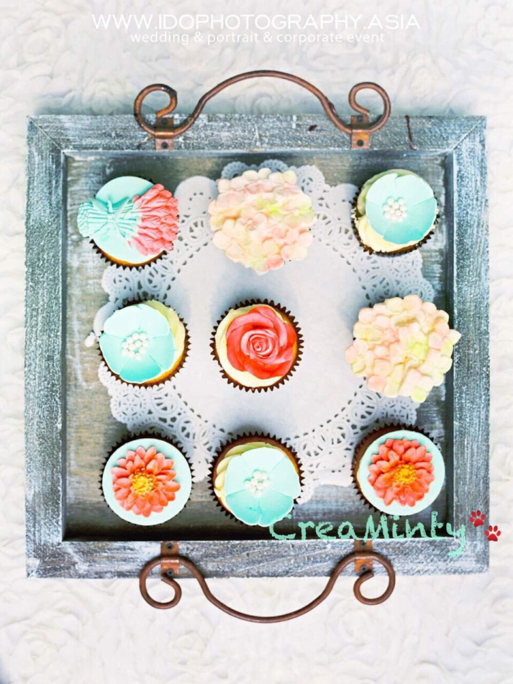 春日cupcake组