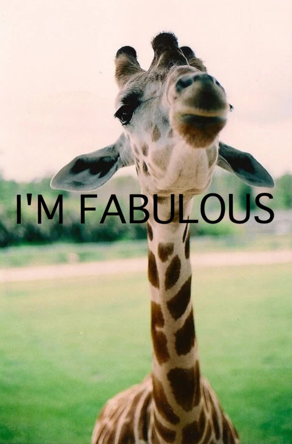 Im fabulous