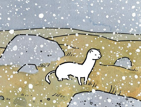 昼与夜，天与海