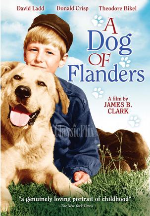 佛兰德斯的狗真人电影之【锦绣前程 A Dog of Flanders (1959)】又名: 爷爷与忠狗··IMDb链接: tt0052745 ~ps：不知道那次在国外的一个网站看的是不是这个版本 。