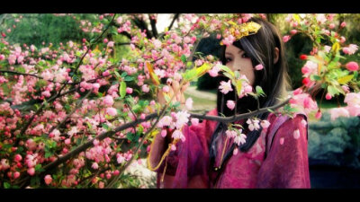 【COS】《艳势番·檀香刺》·花九卿-桃红牡丹版-最念思卿时