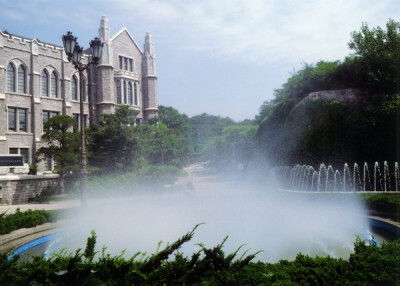 高丽大学