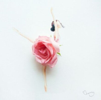 当鲜花遇见水彩——来自马来西亚艺术家Lim Zhi Wei创作的一组女人花~