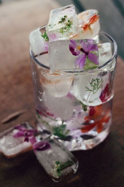 Floral icecubes