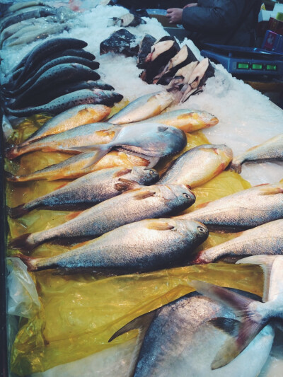 seafood market