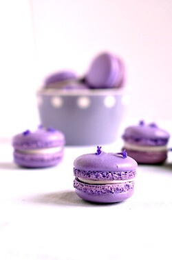 macarons