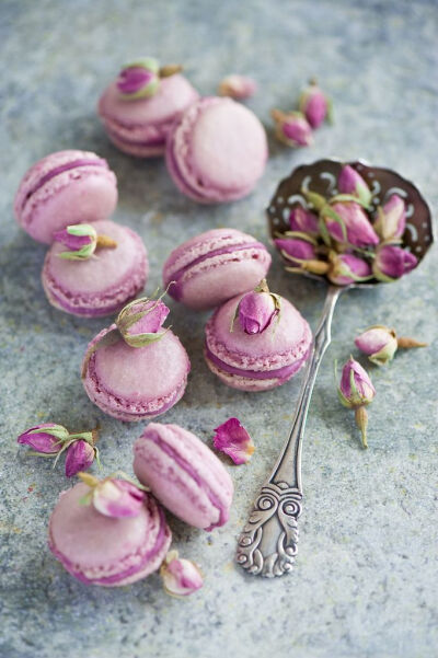 macarons