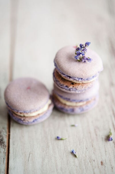 macarons