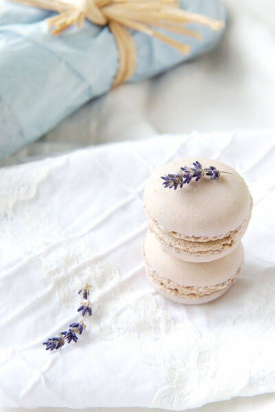 Lavender White Chocolate Macarons