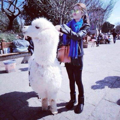  如果以后做为旧友的我去了你的城市，许久未见的我们见面却不知该聊些什么，你担心怠慢我，我也怕麻烦你，时间像条鸿沟隔开了你我，不过还好，一切只是如果。