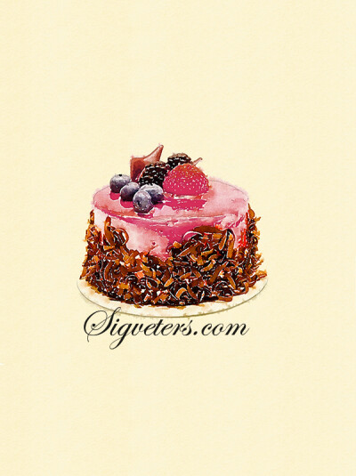 手绘水彩水粉插画-食物蛋糕甜点系列-----巧克力浆果混合果酱蛋糕