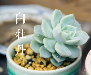 就这么一直歪下去