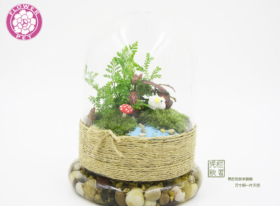 花宠之凭栏秋水苔藓微景观 只要49元限10套 http://item.taobao.com/item.htm?spm=a1z10.1.w4024-7533743923.1.Yfs4PW&amp;amp;id=39965314377&amp;amp;scene=taobao_shop