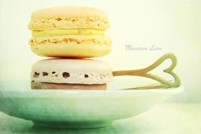 macaron