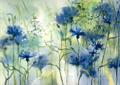 水彩·繁花 丨photos by Malgorzata Szczecinska