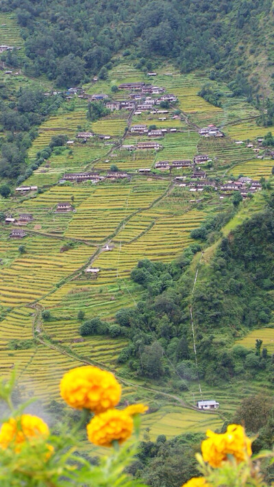 Pokhara 尼泊尔。