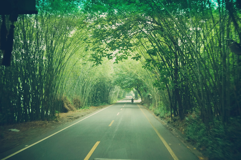 蜀南竹海，所在地四川宜宾长宁。