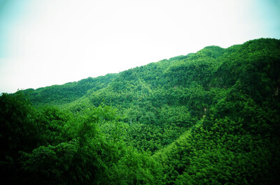 蜀南竹海，所在地四川宜宾长宁。