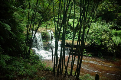 蜀南竹海，所在地四川宜宾长宁。