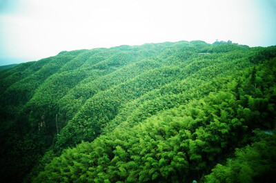 蜀南竹海，所在地四川宜宾长宁。