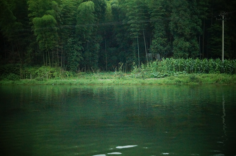 蜀南竹海，所在地四川宜宾长宁。