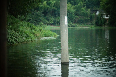 蜀南竹海，所在地四川宜宾长宁。电线杆