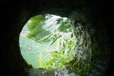 蜀南竹海，所在地四川宜宾长宁。