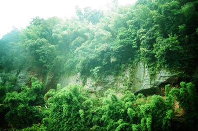 蜀南竹海，所在地四川宜宾长宁。