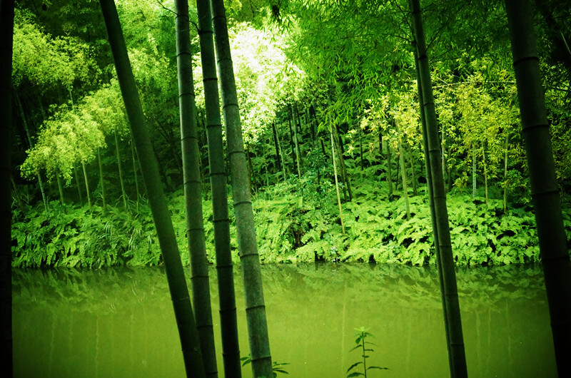 蜀南竹海，所在地四川宜宾长宁。仙女湖