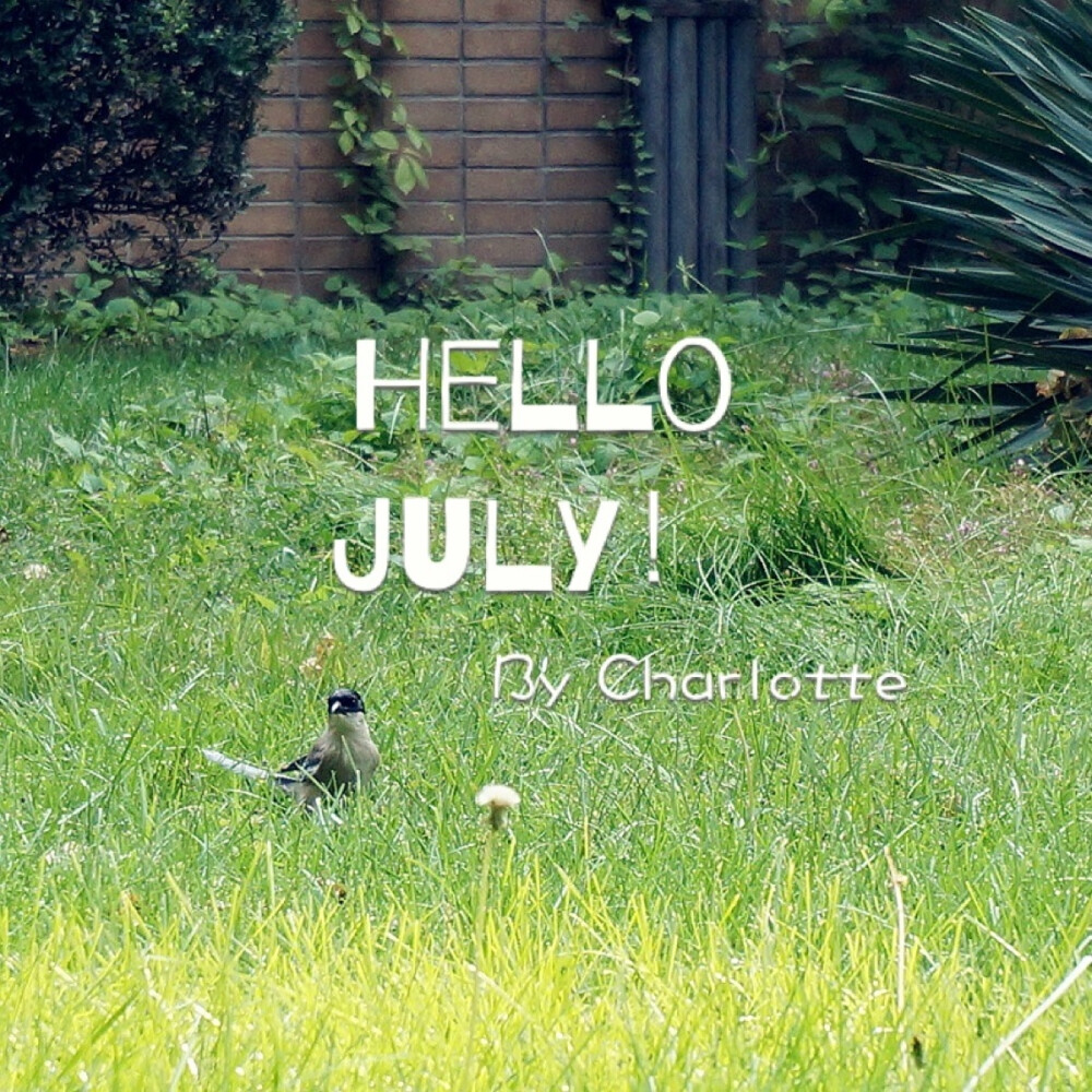 July