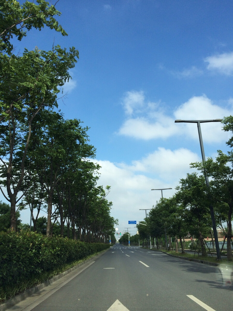 夏日路上