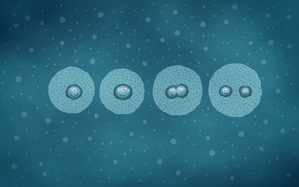 VLADSTUDIO壁纸【1920x1200】细胞分裂 cell division