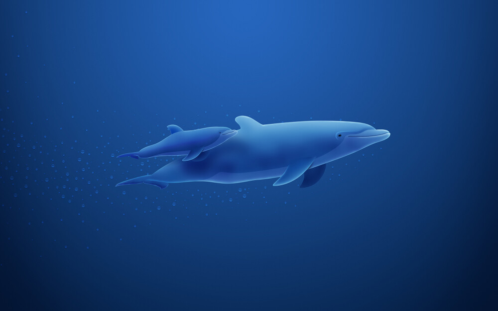 VLADSTUDIO壁纸【1920x1200】海豚 dolphins