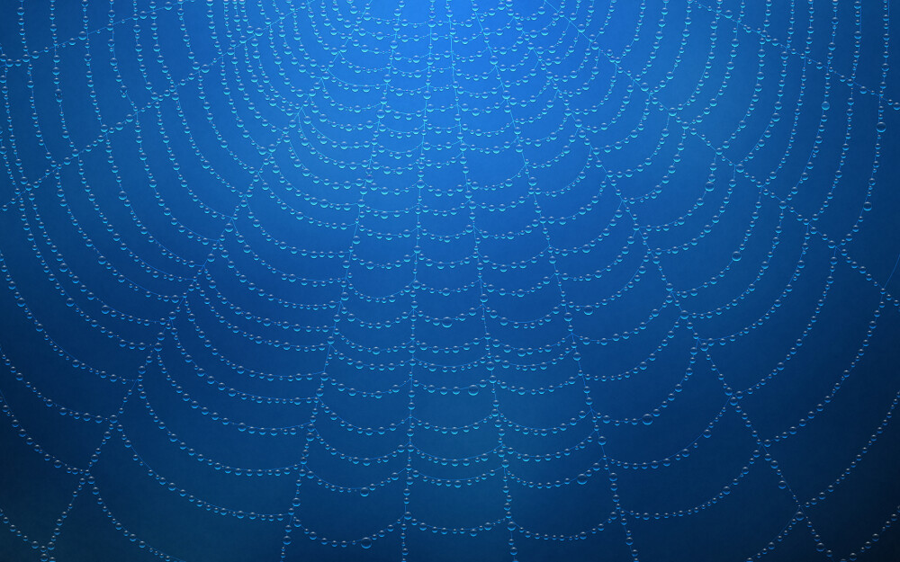 VLADSTUDIO壁纸【1920x1200】蜘蛛网 水滴 蓝色 spiderweb waterdrops blue