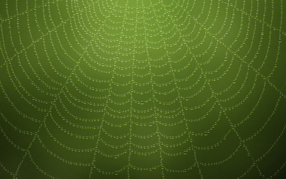 VLADSTUDIO壁纸【1920x1200】蜘蛛网 水滴 绿色 spiderweb waterdrops green