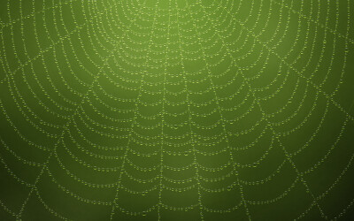 VLADSTUDIO壁纸【1920x1200】蜘蛛网 水滴 绿色 spiderweb waterdrops green