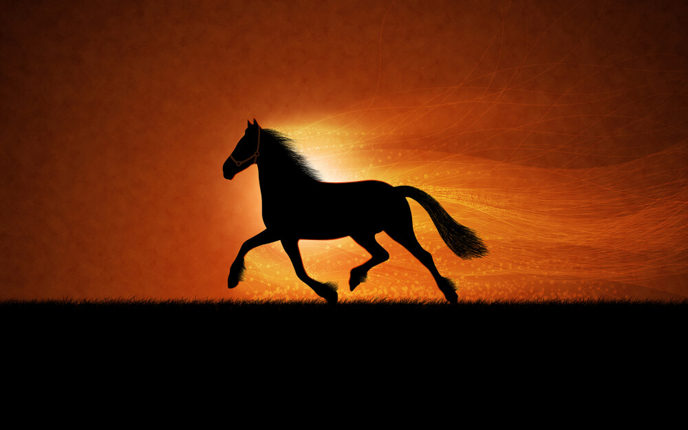 VLADSTUDIO壁纸【1920x1200】奔马 running horse