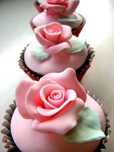pink roses