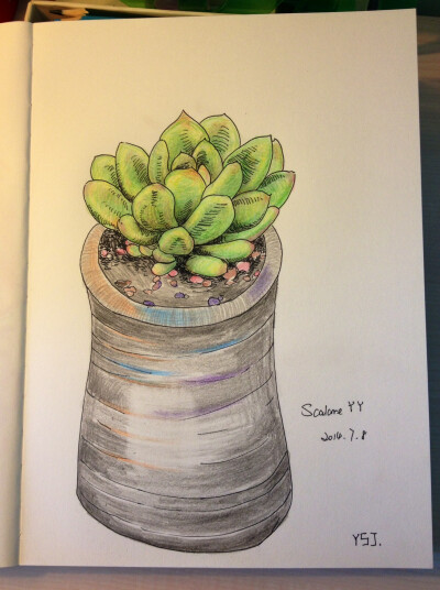 时间，会带来惊喜。只要我们肯认真地，有希望地，走过每一天。