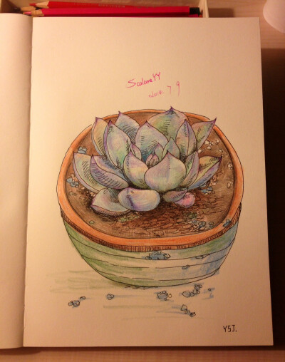 时间，会带来惊喜。只要我们肯认真地，有希望地，走过每一天。