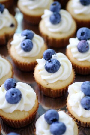 Blueberry cupcakes