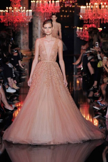 Elie Saab2014秋冬