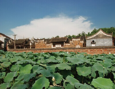 郴州板梁古村：汉武大帝后代的隐居地 整个古村占地3平方公里，村内建有庙祠亭阁，旧私塾、古商街、古钱庄。古村小桥流水，曲径通幽，宝塔、古井、石板路布局机巧，令人叫绝，乡村古风别有洞天。古村内至今仍保存了36…