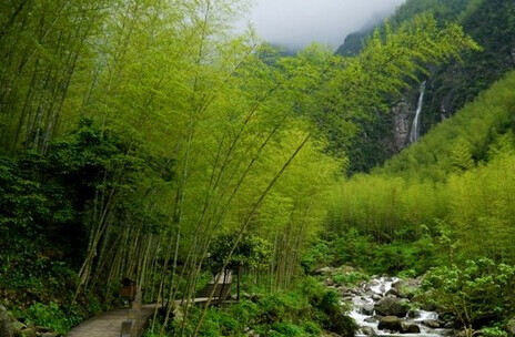 江西明月山：万顷竹海绿意浓 这里有万顷竹海，穿行在竹林间，眼中清凉，心中宁谧。遍布大山里的瀑布更令人凉意顿生，其中一条“云谷飞瀑”长119米，为江西第一高瀑。攀至山顶，眼前会有山顶天池、石径苍苔、竹海瀑群、绝壁怪石，苍松斗妍，山花织锦不由令人心旷神怡。 山顶附近的青云栈道颇有些惊险，清风徐来，走在栈道上，如入仙境。山顶梦月山庄里特辟了亲水平台，在那里用餐，一杯美酒映着水光山色，好不惬意。