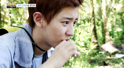 EXO灿烈 Chanyeol