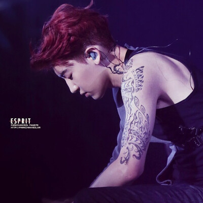 EXO灿烈 Chanyeol